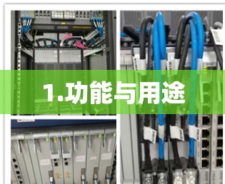 1.功能与用途