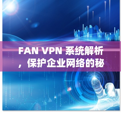 FAN VPN 系统解析，保护企业网络的秘密