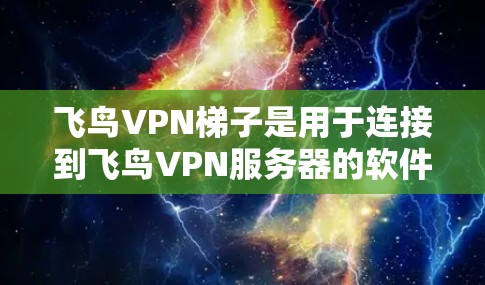 飞鸟VPN梯子是用于连接到飞鸟VPN服务器的软件，以下是使用步骤的详细指南
