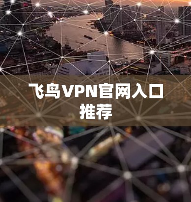 飞鸟VPN官网入口推荐 飞鸟VPN官网入口推荐