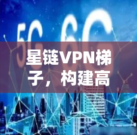 星链VPN梯子,构建高效安全的通信网络 星链VPN梯子,构建高效安全的通信网络