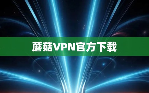 蘑菇VPN官方下载 蘑菇VPN官方下载