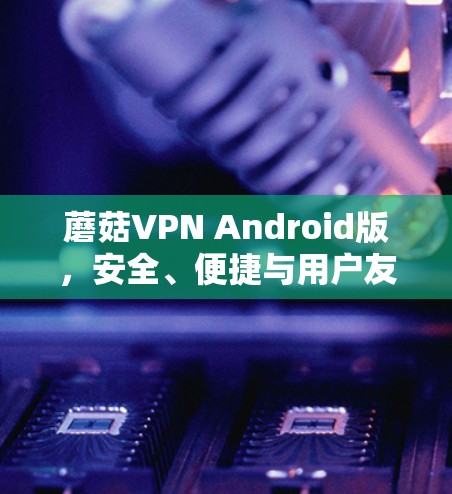 蘑菇VPN Android版，安全、便捷与用户友好