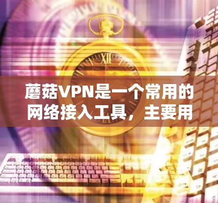 蘑菇VPN是一个常用的网络接入工具，主要用于访问互联网。以下是使用蘑菇VPN进行网络连接的教程