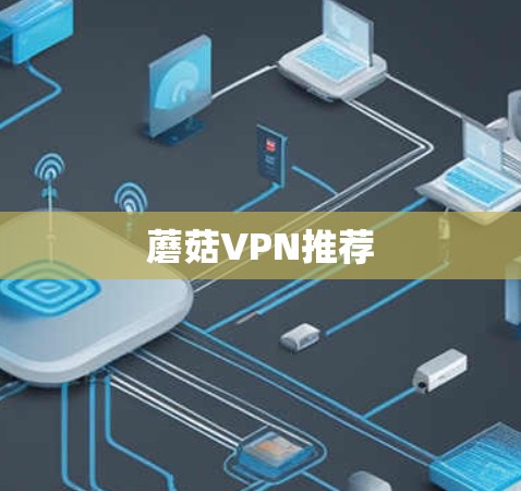 蘑菇VPN推荐