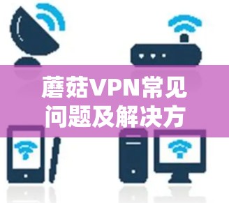 蘑菇VPN常见问题及解决方案