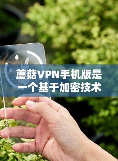 蘑菇VPN手机版是一个基于加密技术的VPN服务，旨在提供安全、高效的视频会议功能。以下是详细的使用步骤和注意事项