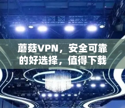 蘑菇VPN，安全可靠的好选择，值得下载