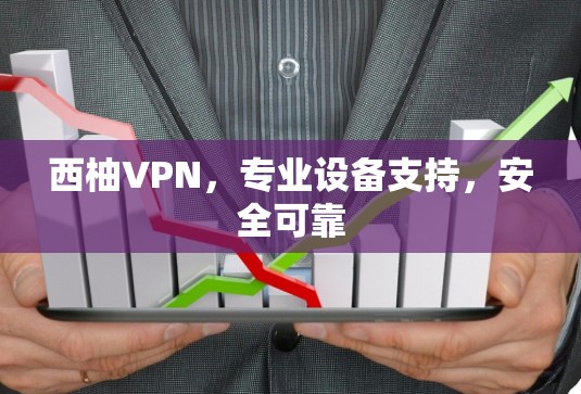 西柚VPN，专业设备支持，安全可靠