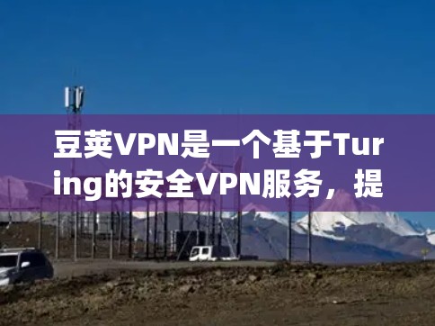 豆荚VPN是一个基于Turing的安全VPN服务，提供多种功能和选项，旨在保护用户的网络和数据安全。以下是关于豆荚VPN的详细信息，帮助你更好地了解和使用该服务