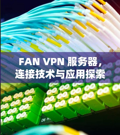 FAN VPN 服务器，连接技术与应用探索