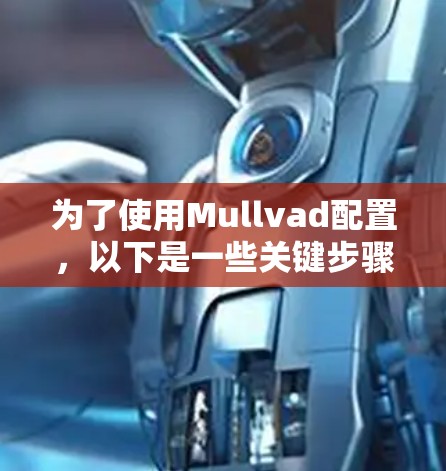 为了使用Mullvad配置，以下是一些关键步骤和解释