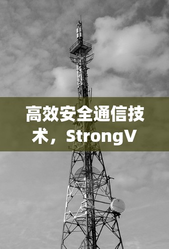 高效安全通信技术，StrongVPN的登录指南