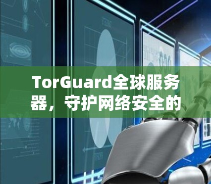 TorGuard全球服务器，守护网络安全的高科技工具