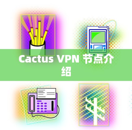 Cactus VPN 节点介绍