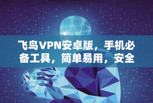 飞鸟VPN安卓版，手机必备工具，简单易用，安全可靠