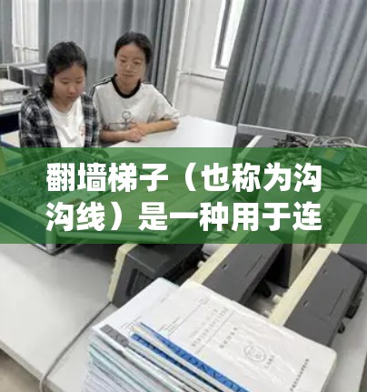 翻墙梯子(也称为沟沟线)是一种用于连接设备或物理结构的导线系统,通常用于在建筑物内部或外部进行通信。以下是一些关于翻墙梯子的配置步骤和注意事项 翻墙梯子(也称为沟沟线)是一种用于连接设备或物理结构的导线系统,通常用于在建筑物内部或外部进行通信。以下是一些关于翻墙梯子的配置步骤和注意事项