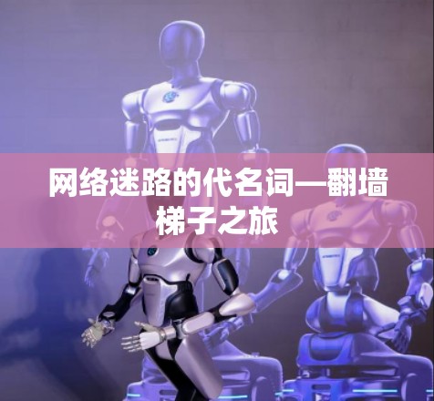 网络迷路的代名词—翻墙梯子之旅 网络迷路的代名词—翻墙梯子之旅