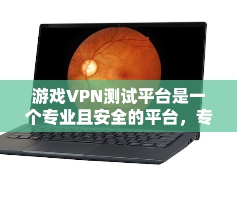 游戏VPN测试平台是一个专业且安全的平台，专门用于测试游戏数据的加密和解密效果。以下是几个主要的平台及其特点