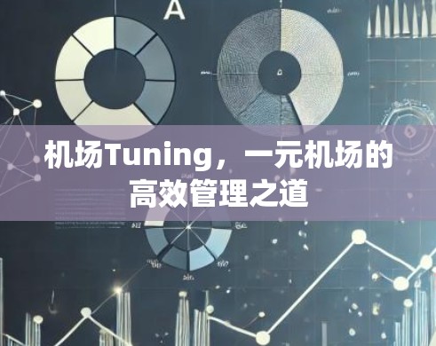 机场Tuning，一元机场的高效管理之道