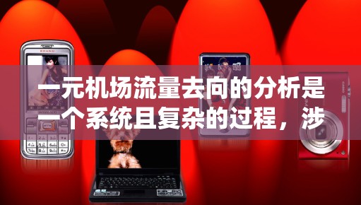一元机场流量去向的分析是一个系统且复杂的过程，涉及多个步骤和方法。以下是一个分步骤的解决方案
