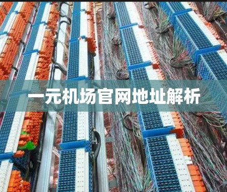 一元机场官网地址解析