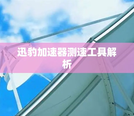 迅豹加速器测速工具解析