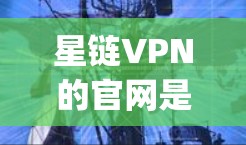 星链VPN的官网是https:www.chindian.net。以下是下载步骤