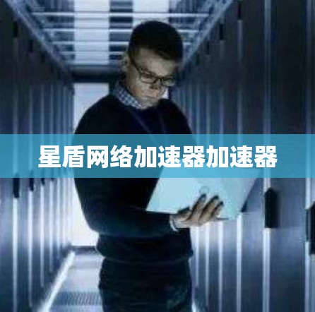 星盾网络加速器加速器