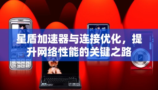 星盾加速器与连接优化，提升网络性能的关键之路