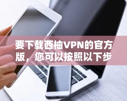 要下载西柚VPN的官方版，您可以按照以下步骤操作
