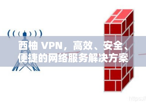 西柚 VPN，高效、安全、便捷的网络服务解决方案