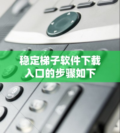 稳定梯子软件下载入口的步骤如下