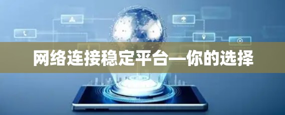 网络连接稳定平台—你的选择