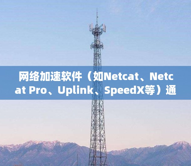 网络加速软件（如Netcat、Netcat Pro、Uplink、SpeedX等）通过优化网络连接，提升用户体验和工作效率。以下是对网络加速效果的分析