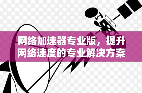 网络加速器专业版，提升网络速度的专业解决方案
