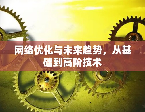网络优化与未来趋势，从基础到高阶技术