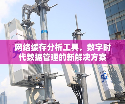 网络缓存分析工具，数字时代数据管理的新解决方案