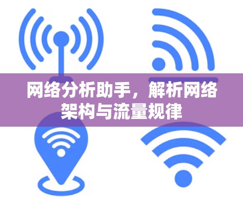 网络分析助手，解析网络架构与流量规律