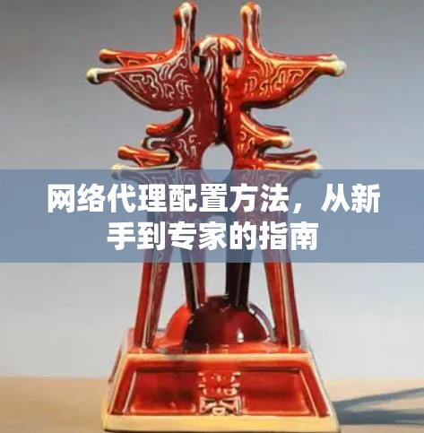 网络代理配置方法，从新手到专家的指南