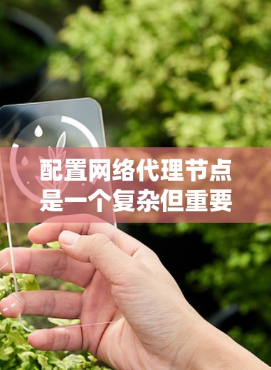 配置网络代理节点是一个复杂但重要的步骤，尤其是在需要管理多个网络资源时。以下是一个详细的步骤指南，帮助您系统地配置网络代理节点
