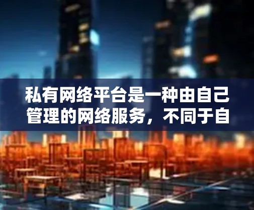 私有网络平台是一种由自己管理的网络服务，不同于自由软件，它强调自主性和控制。以下是对私有网络平台的详细分析