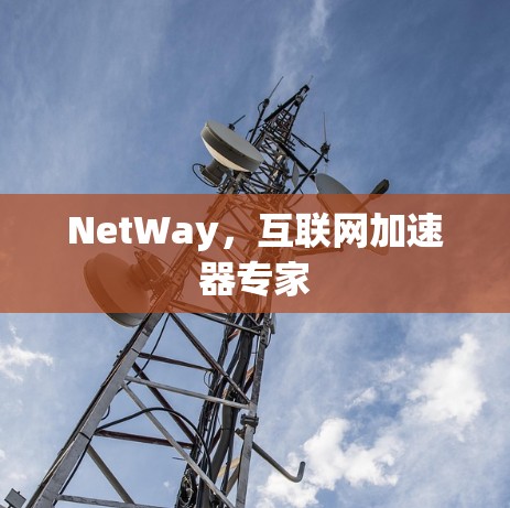 NetWay，互联网加速器专家