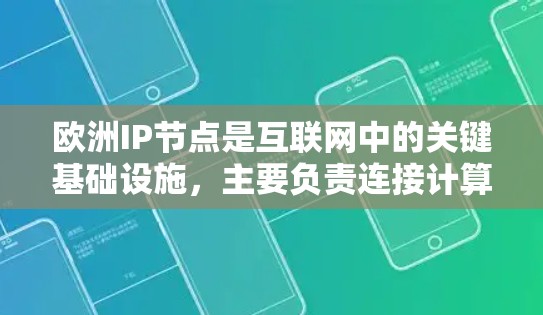 欧洲IP节点是互联网中的关键基础设施，主要负责连接计算机网络。以下是对欧洲IP节点的详细总结