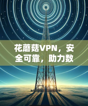 花蘑菇VPN，安全可靠，助力数据安全