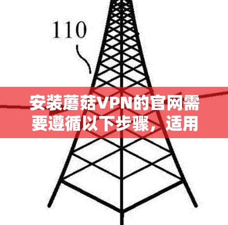 安装蘑菇VPN的官网需要遵循以下步骤，适用于Windows和Mac设备
