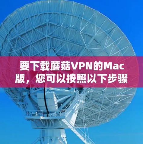 要下载蘑菇VPN的Mac版，您可以按照以下步骤进行
