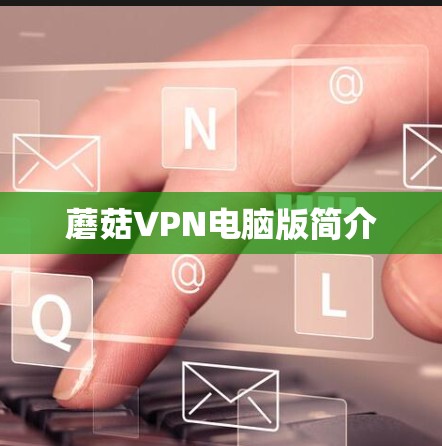 蘑菇VPN电脑版简介