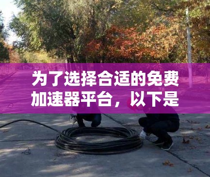 为了选择合适的免费加速器平台，以下是一个清晰的指南