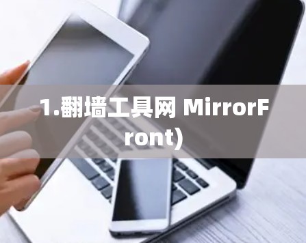 1.翻墙工具网 MirrorFront)